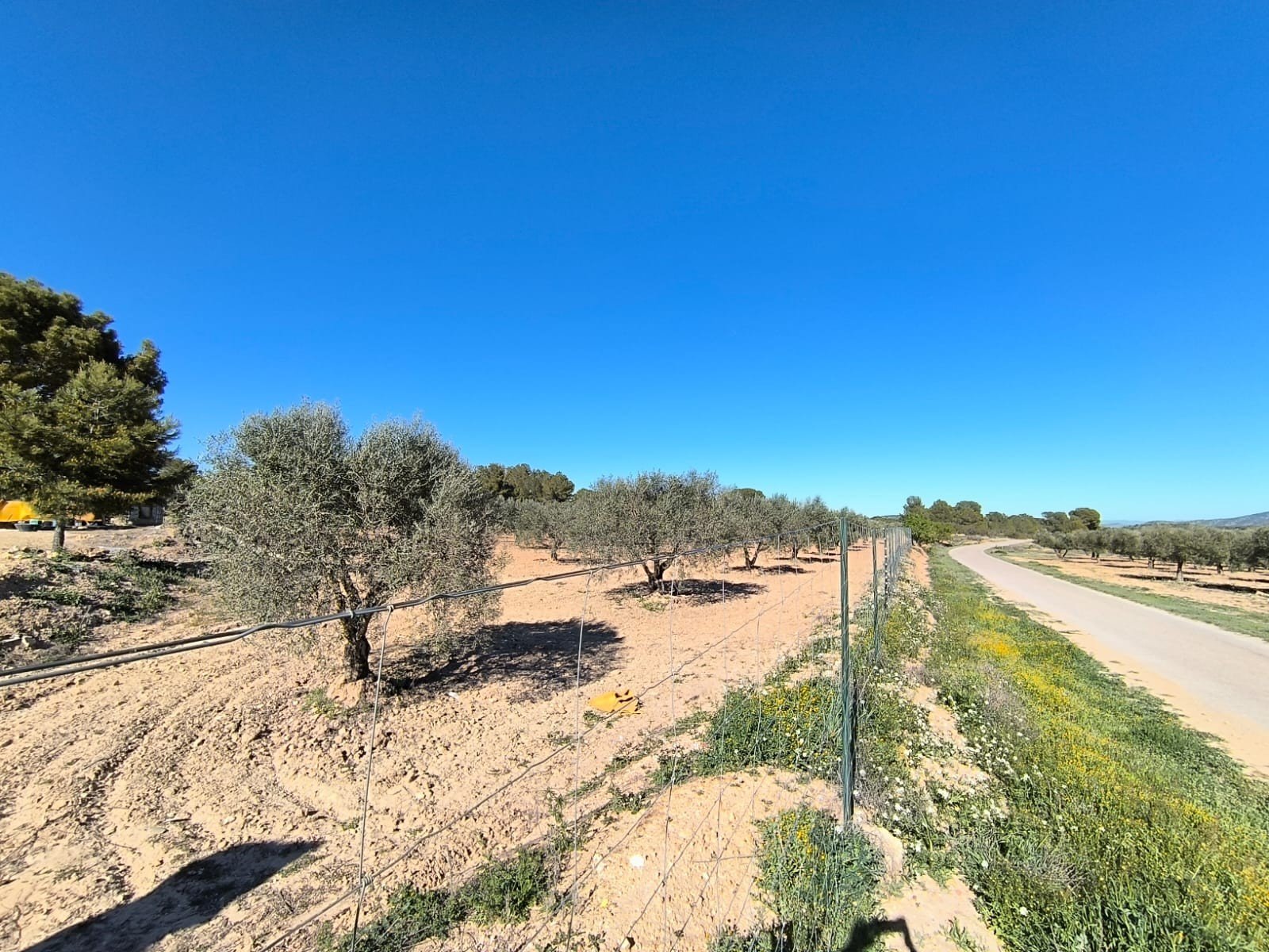 3 Bedroom 1 Bathroom Country House in Yecla - Caza De Casa