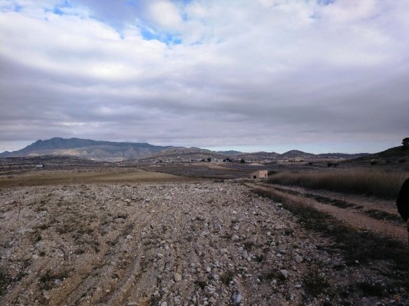 160,000 m² Land in Torre Del Rico - Caza De Casa