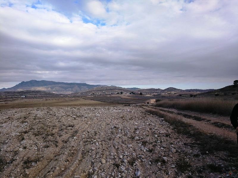 160,000 m² Land in Torre Del Rico - Caza De Casa