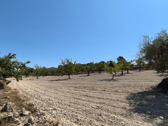 Land in Monóvar/Monóver - Caza De Casa