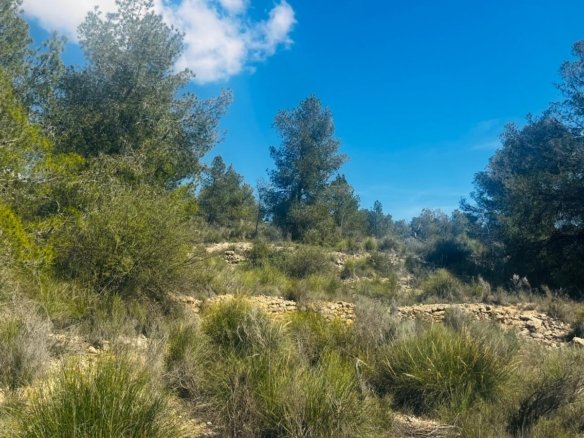 Land in La Romana - Caza De Casa