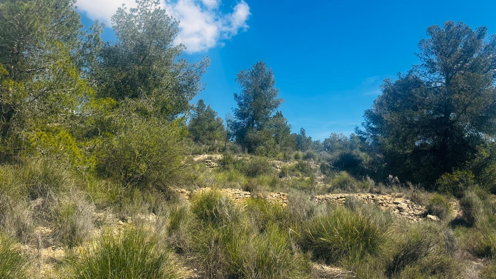 Land in La Romana - Caza De Casa