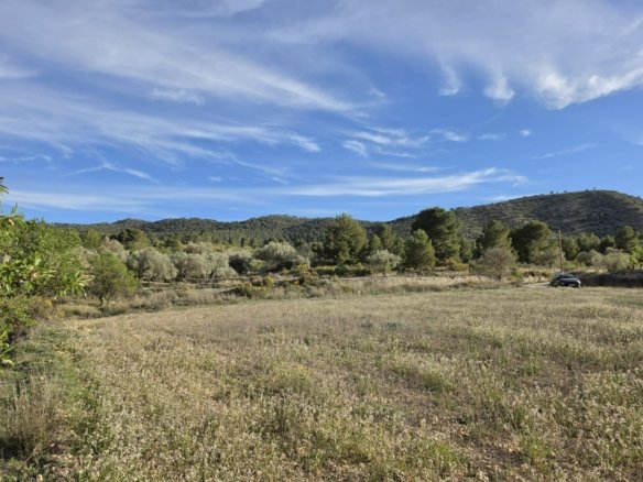 8,802 m² Land in Monóvar/Monóver - Caza De Casa