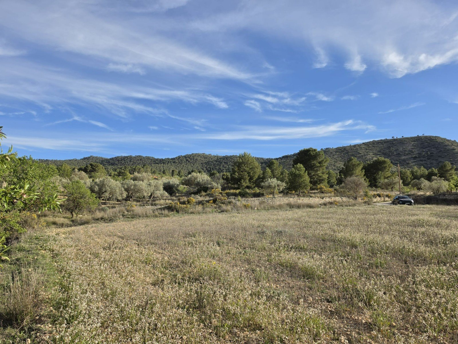 8,802 m² Land in Monóvar/Monóver - Caza De Casa