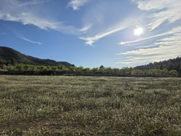 8,802 m² Land in Monóvar/Monóver - Caza De Casa