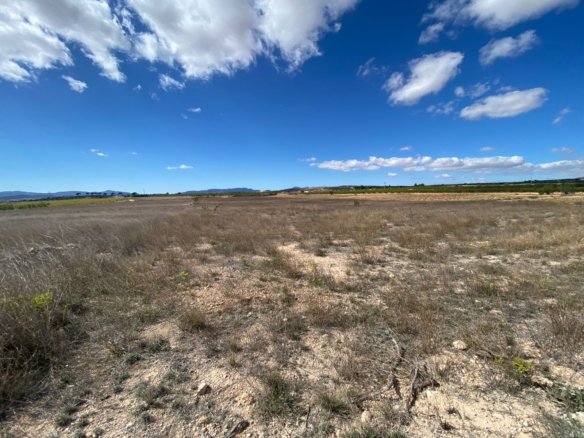 20,357 m² Land in Pinoso - Caza De Casa