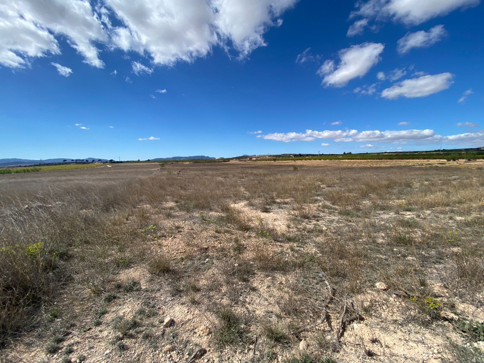 20,357 m² Land in Pinoso - Caza De Casa