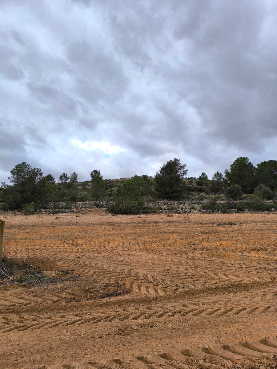 14,595 m² Land in Chinorlet - Caza De Casa