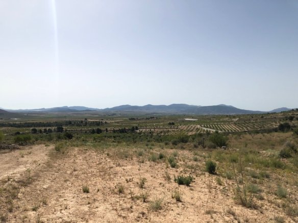 31,486 m² Land in Yecla - Caza De Casa