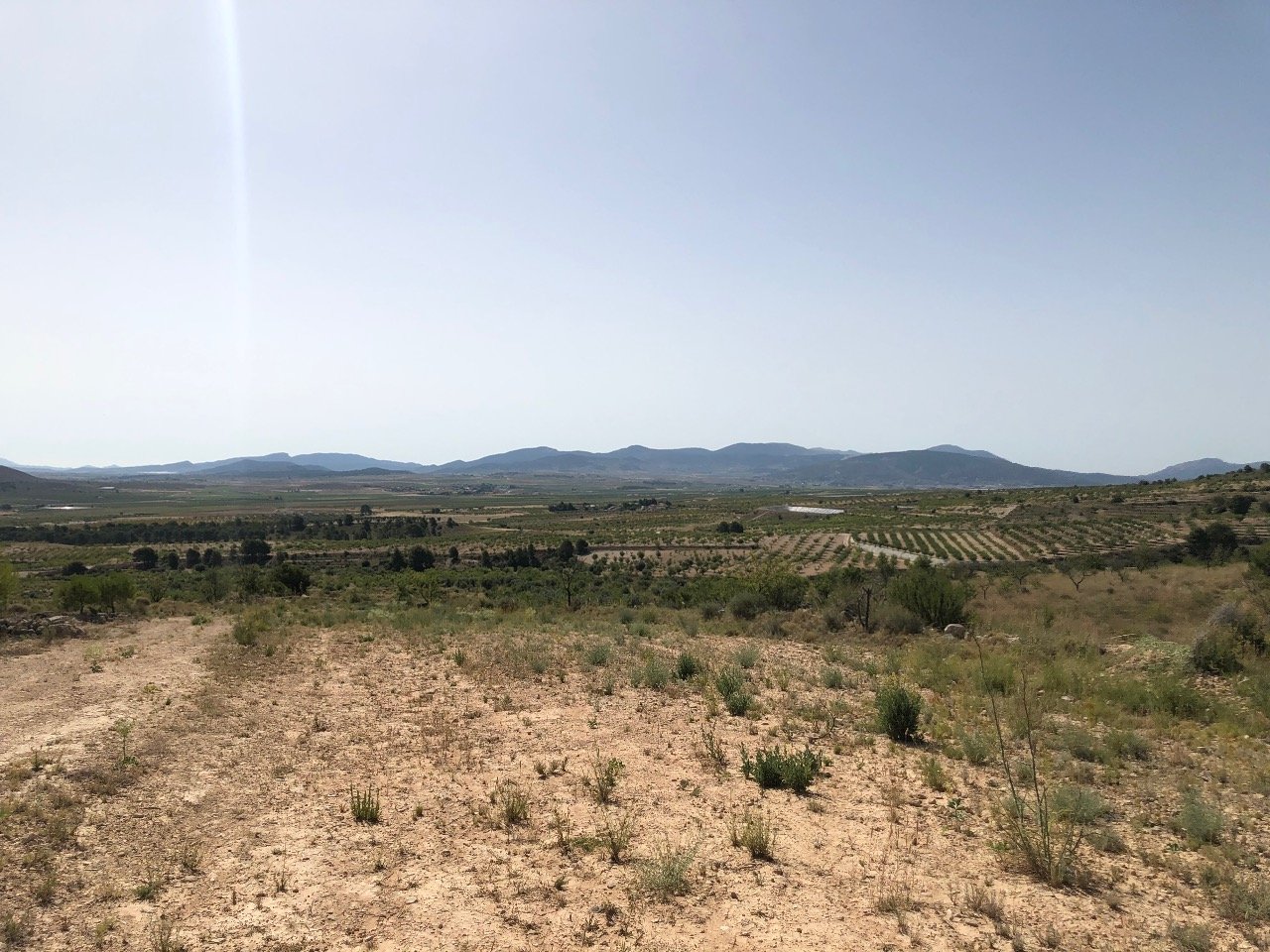 31,486 m² Land in Yecla - Caza De Casa