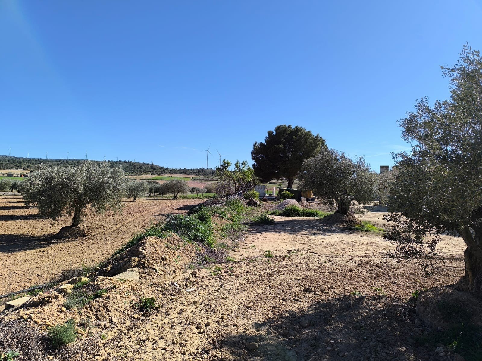 3 Bedroom 1 Bathroom Country House in Yecla - Caza De Casa
