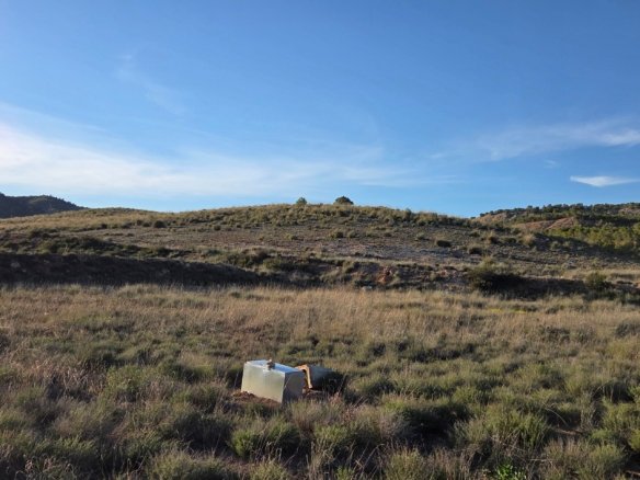 40,000 m² Land in Yecla - Caza De Casa