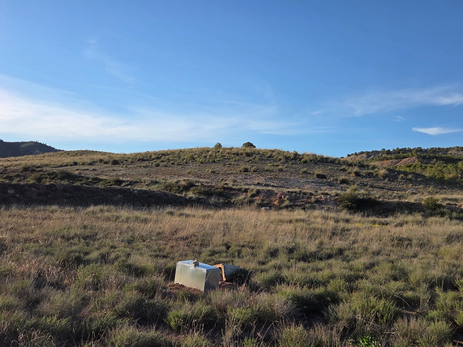 40,000 m² Land in Yecla - Caza De Casa