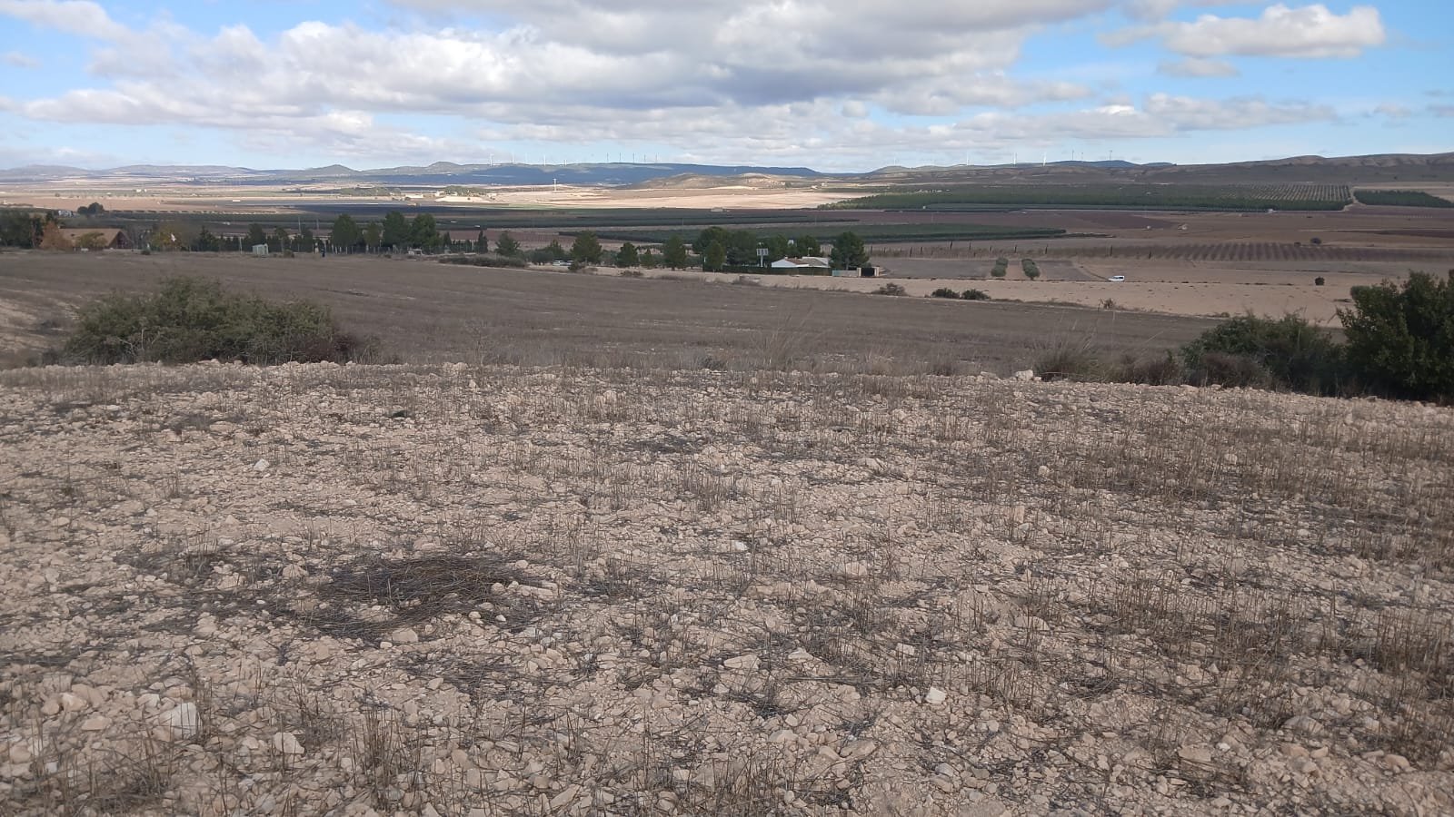 110,000 m² Land in Yecla - Caza De Casa