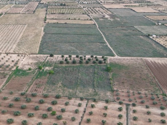 13,701 m² Land in Jumilla - Caza De Casa