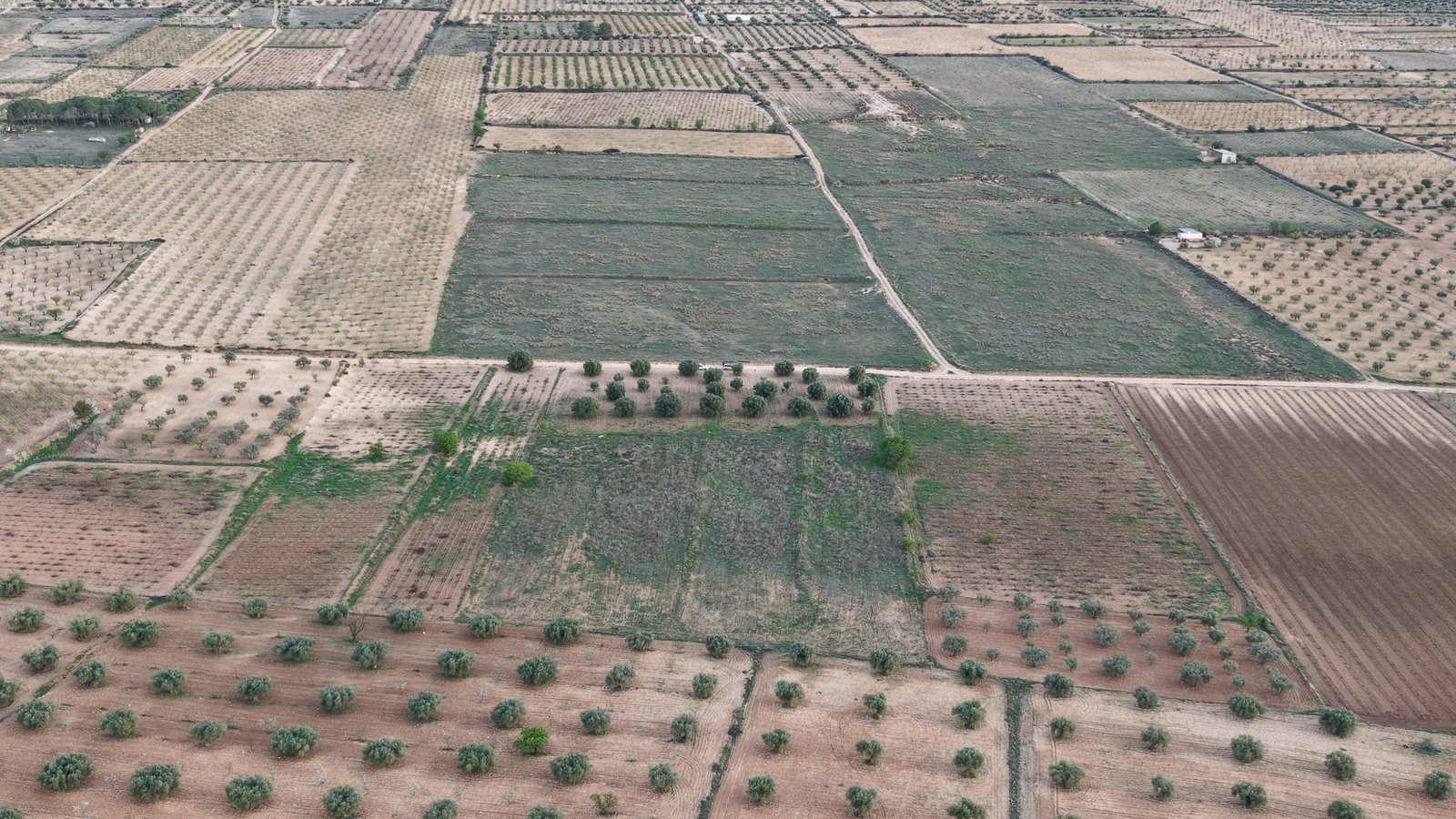 13,701 m² Land in Jumilla - Caza De Casa