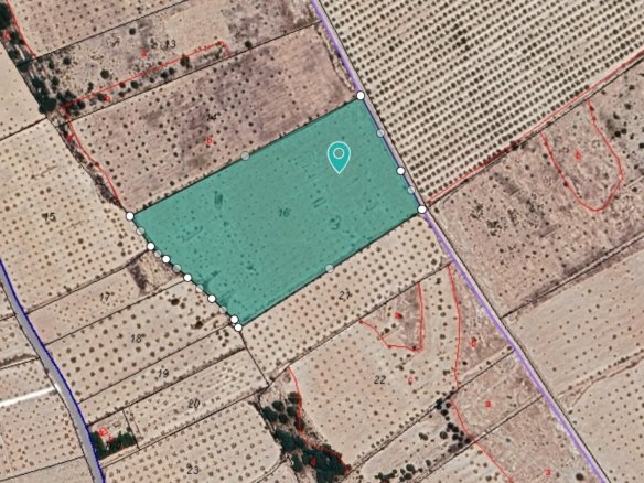 28,965 m² Land in Monóvar/Monóver - Caza De Casa