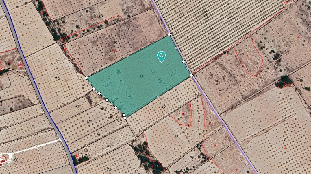 28,965 m² Land in Monóvar/Monóver - Caza De Casa
