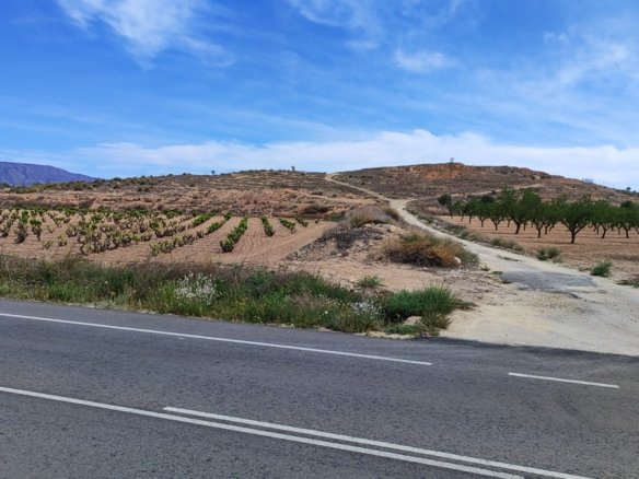 17,300 m² Land in Pinoso - Caza De Casa