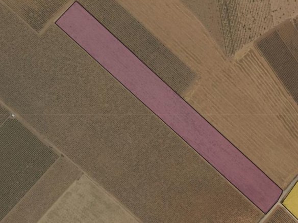 Land in Yecla - Caza De Casa