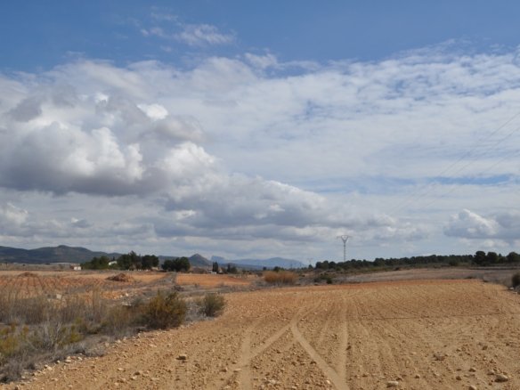 Land in Pinoso - Caza De Casa