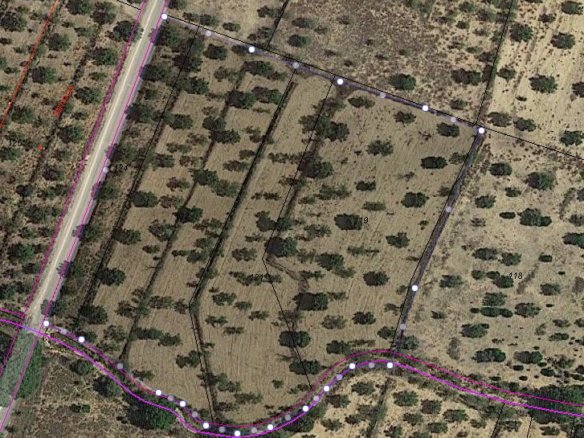 9,500 m² Land in Biar - Caza De Casa