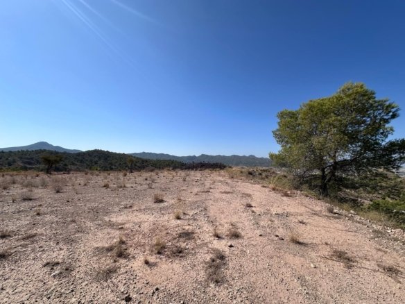 21,500 m² Land in Macisvenda - Caza De Casa
