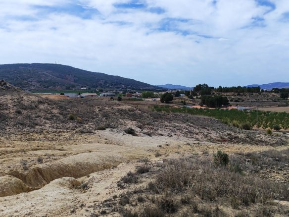 17,300 m² Land in Pinoso - Caza De Casa