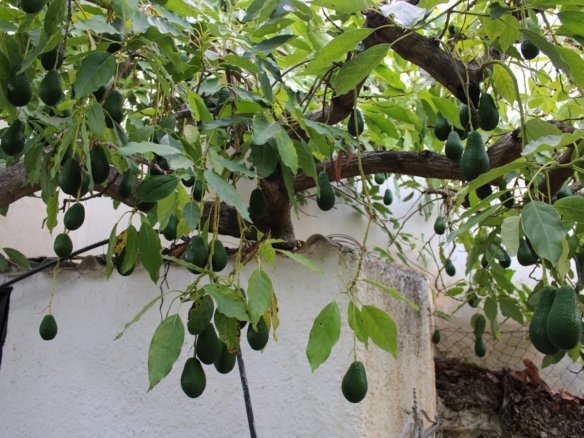 4 Bedroom 2 Bathroom Villa in Nerja - Caza De Casa