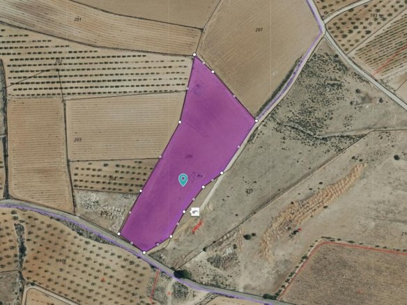 Land in Pinoso - Caza De Casa