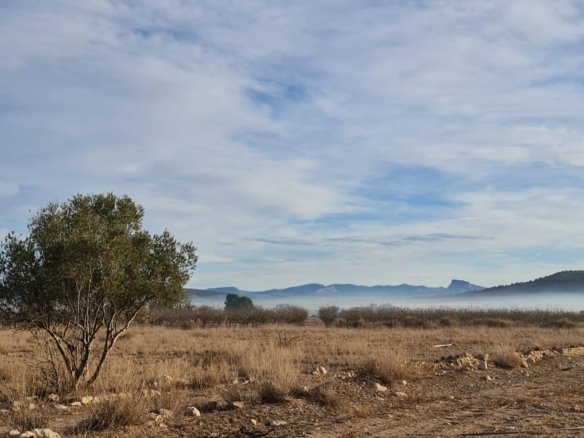 Land in Monóvar/Monóver - Caza De Casa
