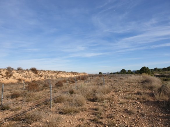 12,116 m² Land in Pinoso - Caza De Casa