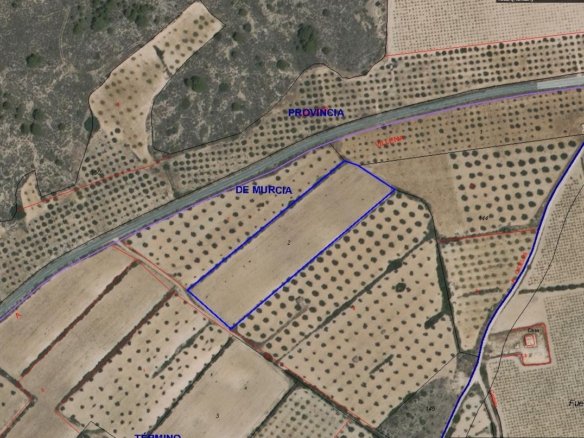 8,754 m² Land in Yecla - Caza De Casa