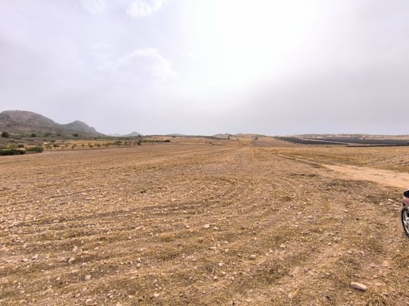Land in Yecla - Caza De Casa