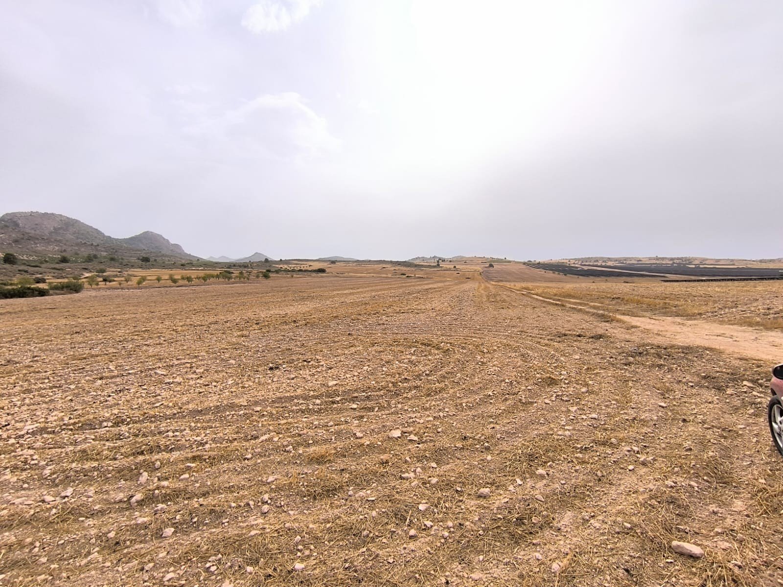 Land in Yecla - Caza De Casa