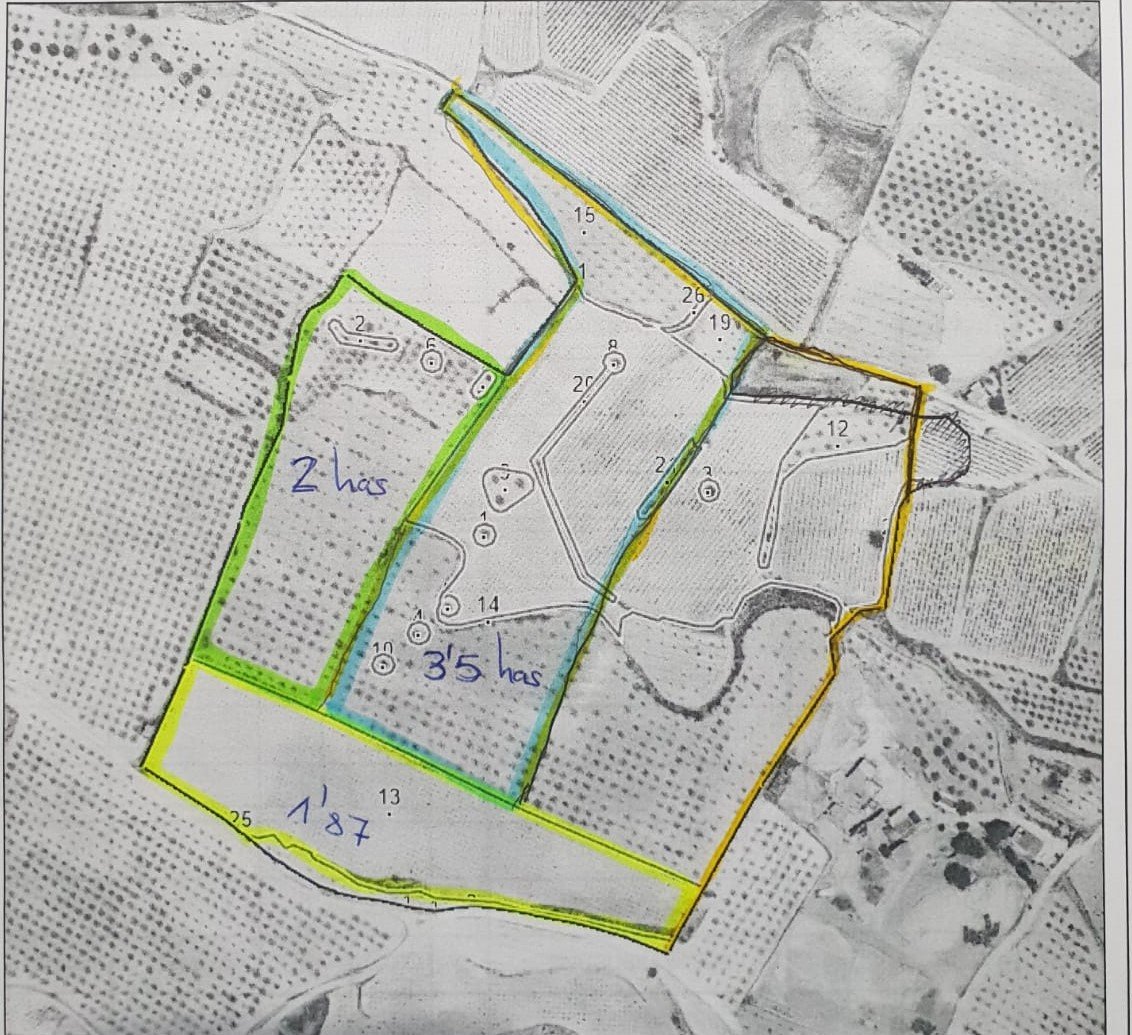 48671b7c8a7a81db 100,000 m² Land in Pinoso - Caza De Casa