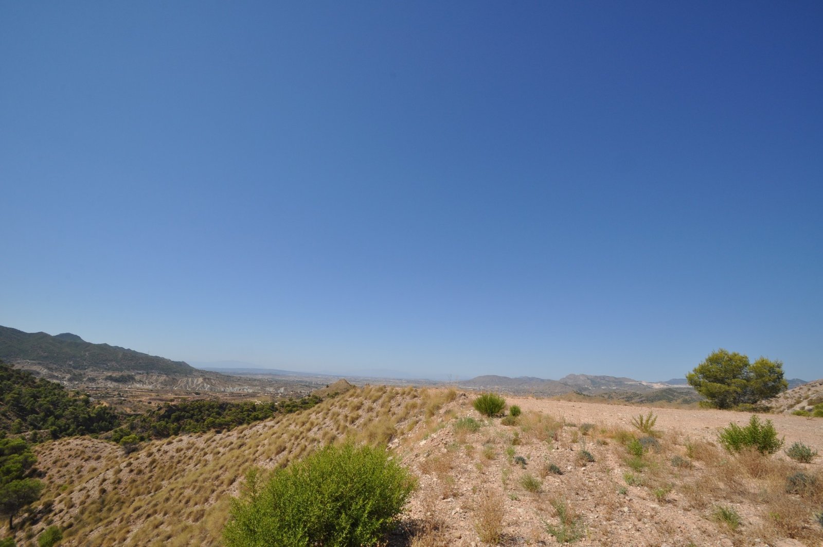 21,500 m² Land in Macisvenda - Caza De Casa