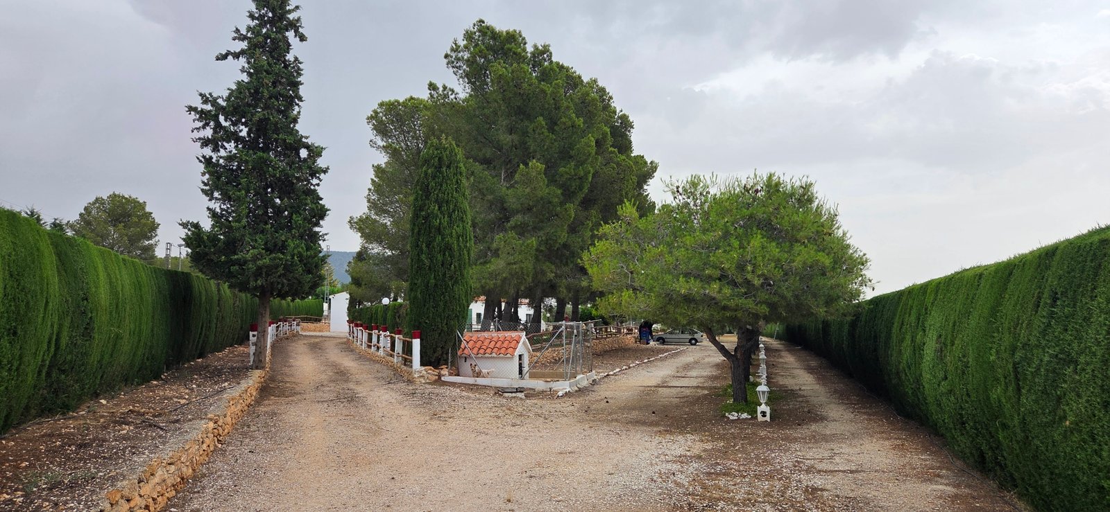 6 Bedroom 2 Bathroom Country House in Pinoso - Caza De Casa