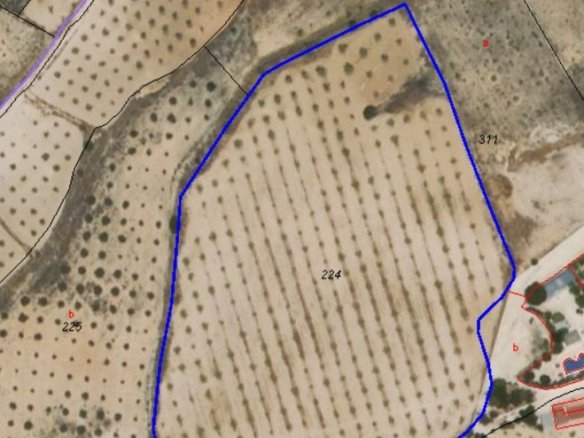 Land in Jumilla - Caza De Casa