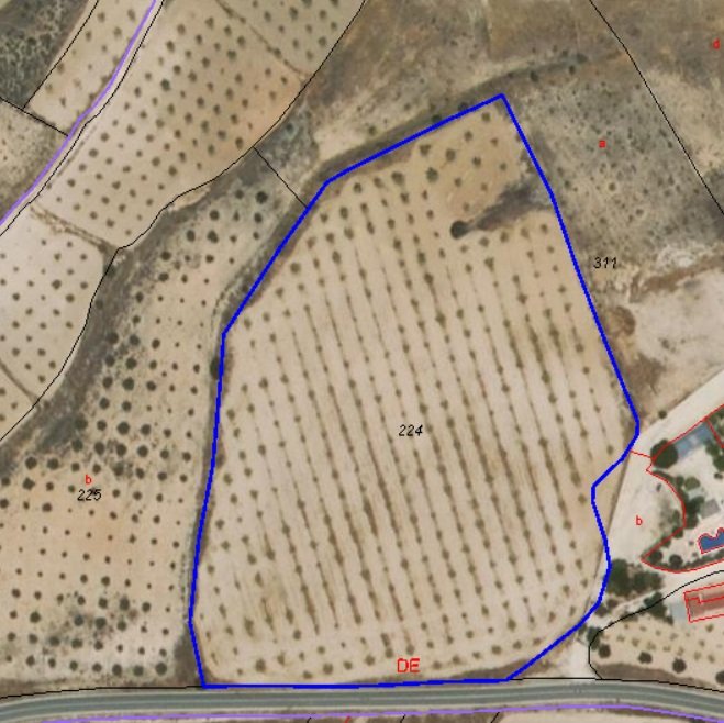 491afab31e591372 Land in Jumilla - Caza De Casa