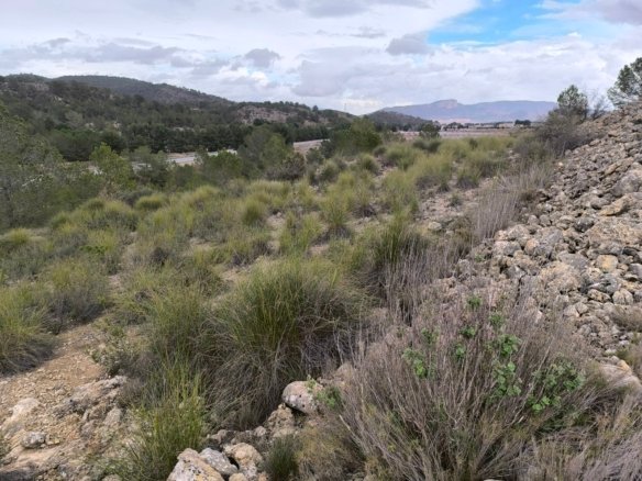 14,595 m² Land in Chinorlet - Caza De Casa