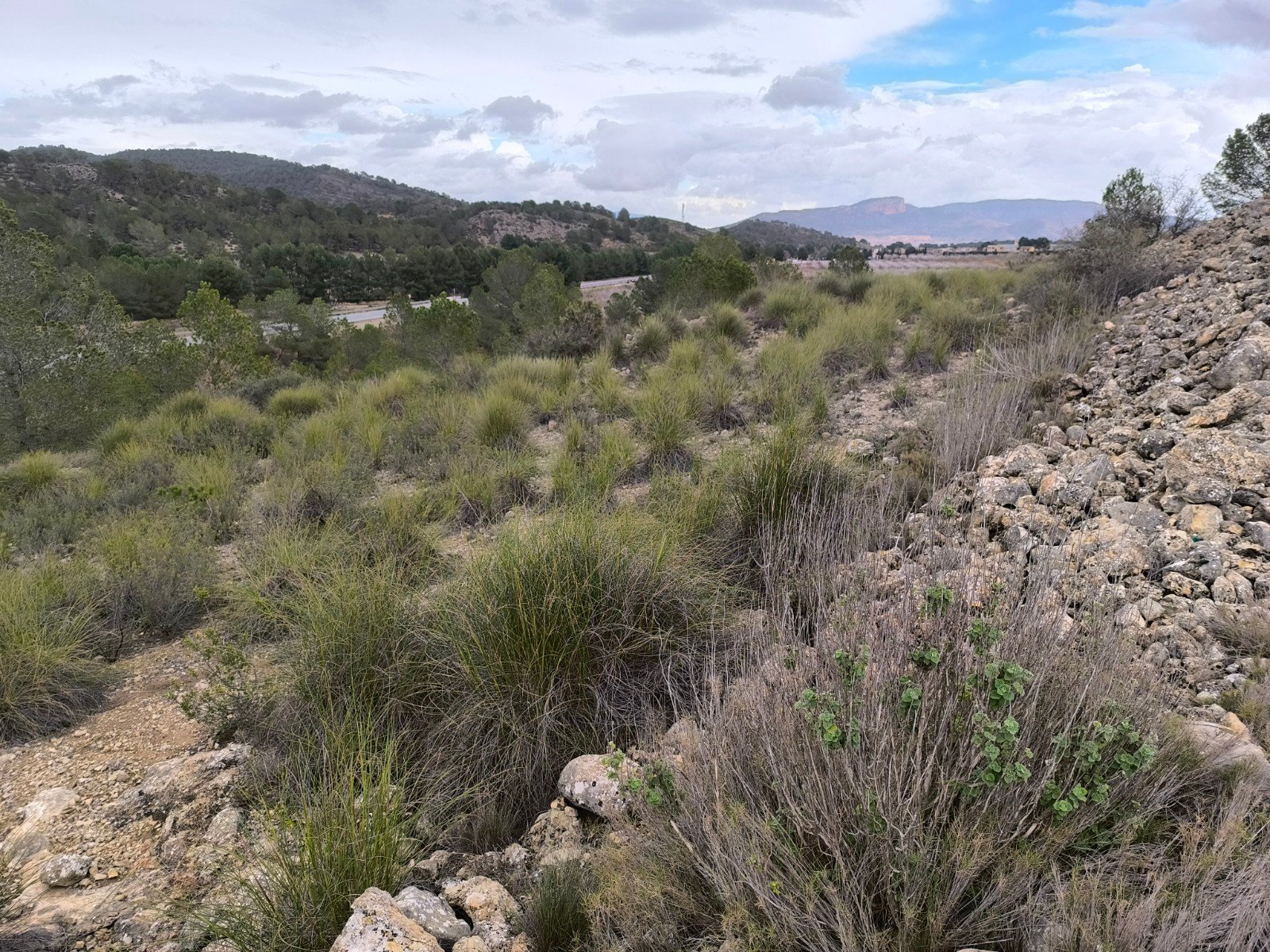 14,595 m² Land in Chinorlet - Caza De Casa