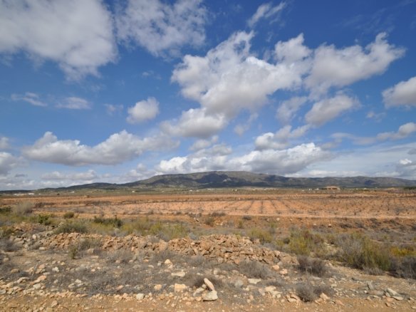 Land in Pinoso - Caza De Casa