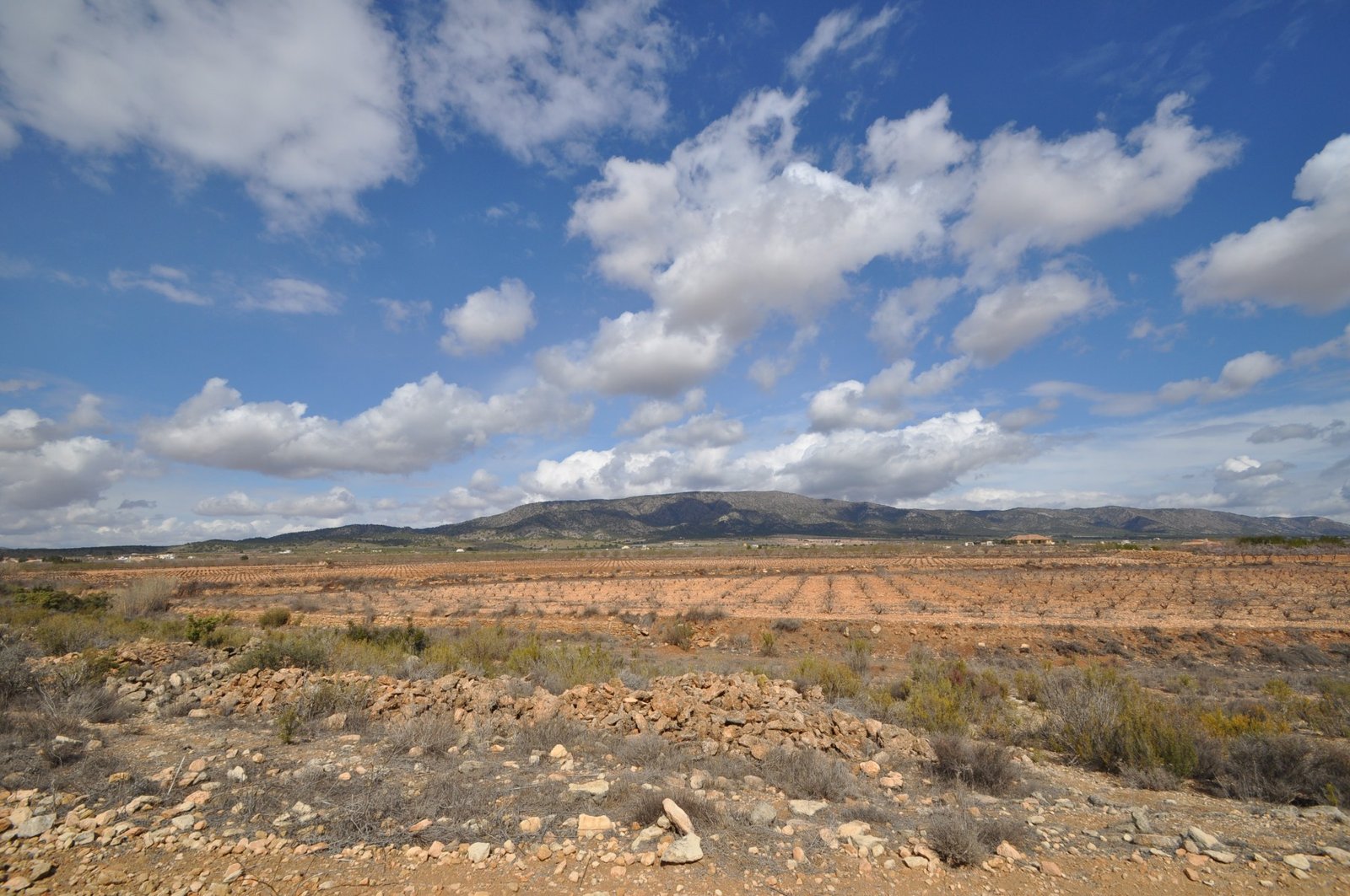 4a8da4479cbcdad0 Land in Pinoso - Caza De Casa