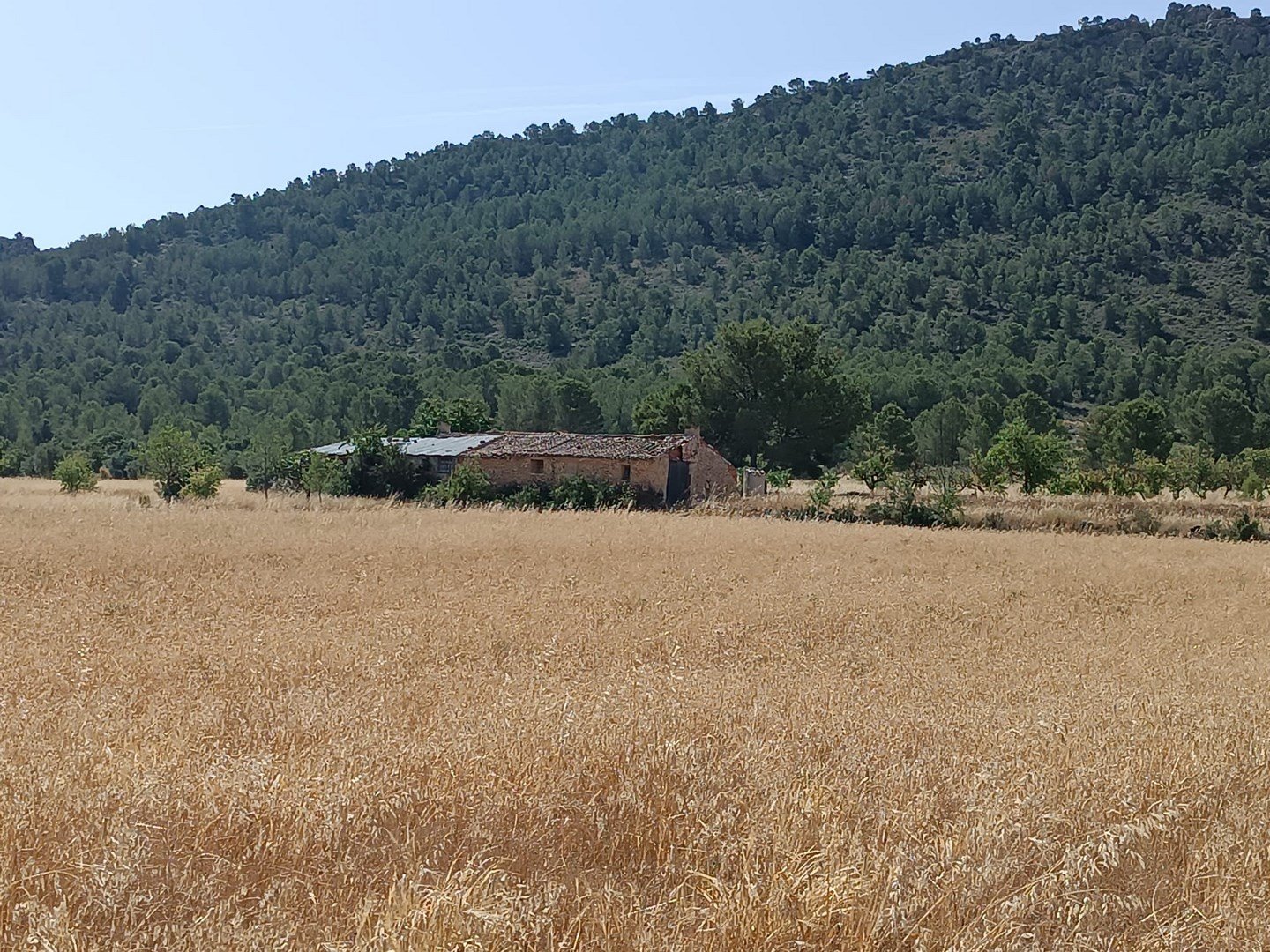3 Bedroom 1 Bathroom Other in Yecla - Caza De Casa