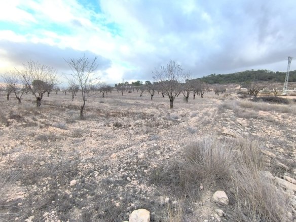 11,510 m² Land in La Solana - Caza De Casa