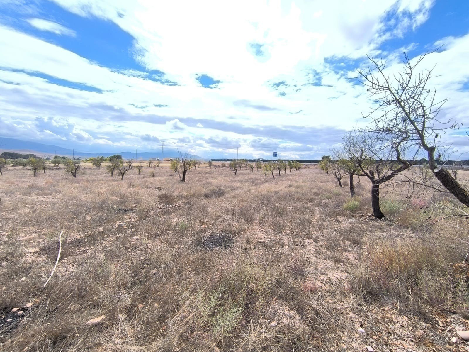 4c3b5eeeb4160e29 3 Bedroom 1 Bathroom Country House in Yecla - Caza De Casa