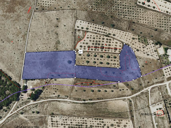 16,000 m² Land in Salinas - Caza De Casa