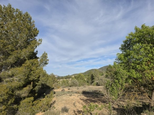 8,802 m² Land in Monóvar/Monóver - Caza De Casa