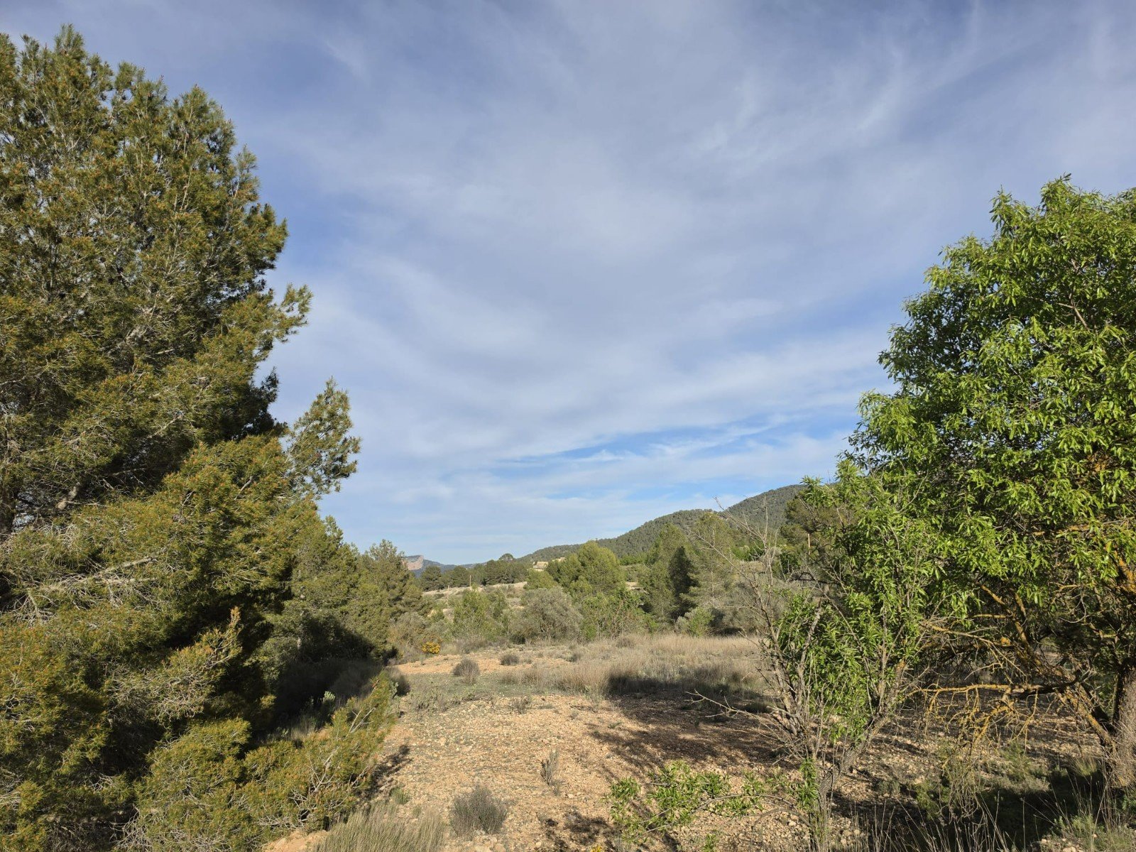 8,802 m² Land in Monóvar/Monóver - Caza De Casa